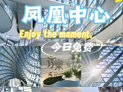 -凤凰中心