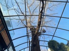 -zarah(鼓楼店)