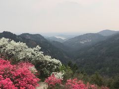 -木兰云雾山