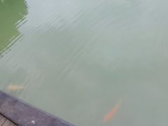 -三圣花乡旅游区