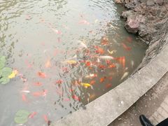 -中共上海市委党校 上海行政学院