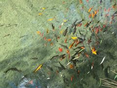 -沕沕水生态风景区