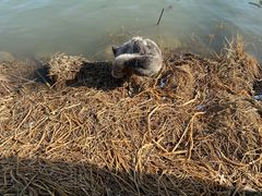 -昆山城市生态森林公园