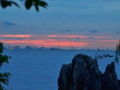 -上海吴淞炮台湾国家湿地公园