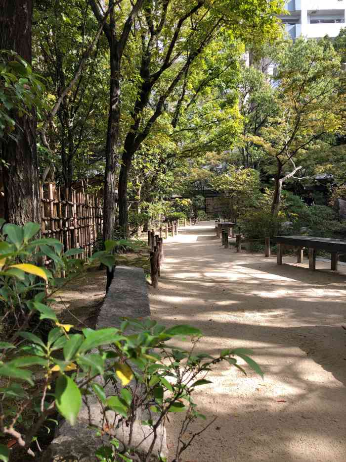 "-大众点评移动版