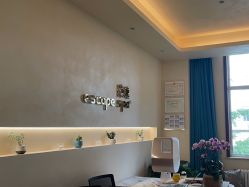 点击看大图 -隐逸SPA