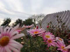 -至尚形象·化妆服饰搭配礼仪培训