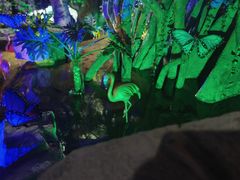 -泉城欧乐堡海洋极地世界