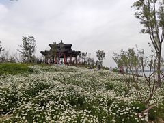 -白洋淀景区
