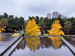 -棕榈泉国际花园1期