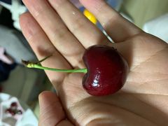 -百果园PAGODA(建业如意家园店)