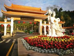 -深圳仙湖植物园