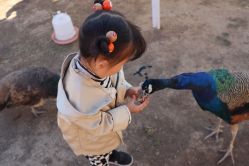 -萌宠亲子动物乐园(槐房万达店)