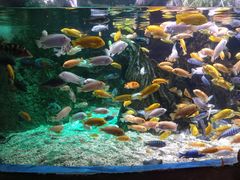 -太平洋海底世界