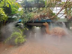 -呀路古热带植物园