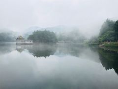 -庐山风景区花径公园