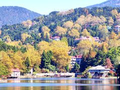 -庐山风景区花径公园