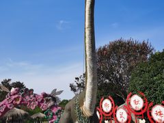 -武汉紫薇都市田园