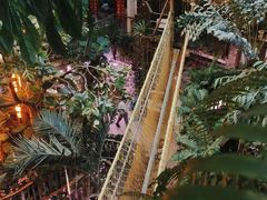 -正佳雨林生态植物园