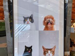 -KUDDO COFFEE(深圳湾总部)