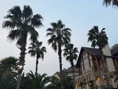 -杭州千岛湖滨江希尔顿度假酒店