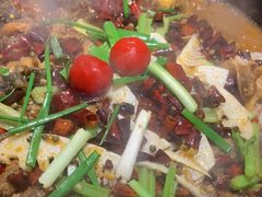 -老板恋上鱼(恒隆广场店)