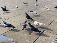 -大连人民广场
