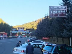 -塞罕坝国家级自然保护区