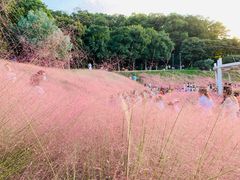 -牛岗山公园