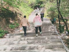-吉林市朱雀山国家森林公园