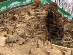 -栾川竹海野生动物园