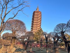 -西海子公园