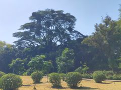 -广西壮族自治区药用植物园