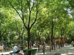 -唐城墙遗址公园