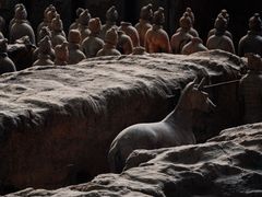 -秦始皇帝陵博物院(兵马俑)