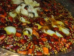 -雲蜀龙阁·金牌水煮鱼(方庄店)