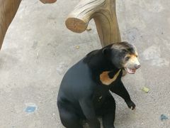 -北京野生动物园