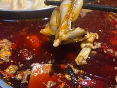 -销魂美蛙鱼头火锅(上海首店)