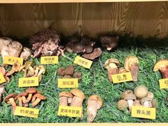 -菌海森林·非遗野生菌火锅(西山区滇池路摩根道店)