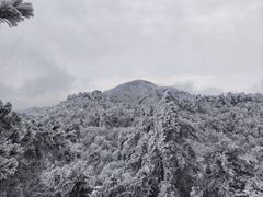 -九华山风景区