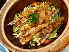 -广东道至正餐厅(区庄店)