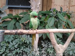 -南宫五洲植物乐园