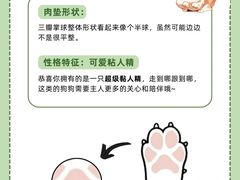 -爱侣宠医·鹦鹉专科·小型哺乳类·异宠专科(灵石路店)