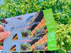 -双龙峡