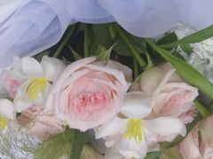 -雪蔓之鲜花气球派对(家佳源时代中心店)