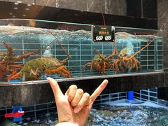 -欧记·龙城港(欣都店)