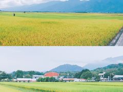 -瑞穗牧场