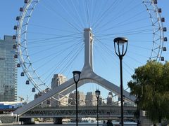 -南楼煎饼(南楼总店)