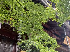 -香积寺