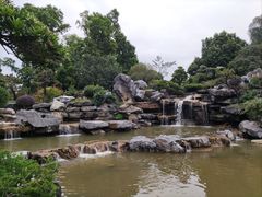 -东莞植物园